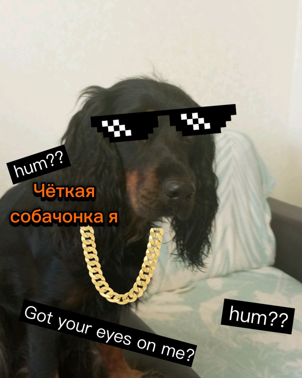 Хочу пожрать! 😎👍