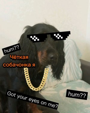 Хочу пожрать! 😎👍
