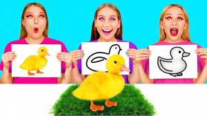 Кто Лучше Нарисует Предмет, Получит Его # Съедобная Битва от Fun Challenge