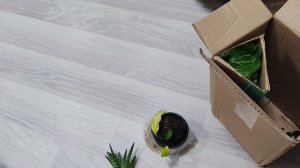 Посылка от подписчицы. Распаковка