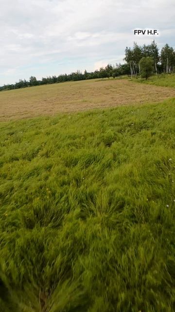 FPV полёт 08.2026.