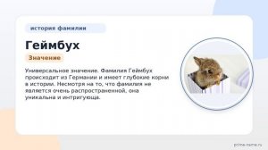 Фамилия Геймбух: происхождение, значение и склонение