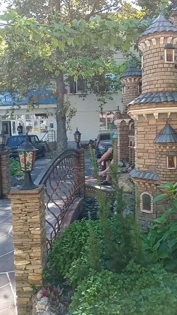 Секретный пруд с черепахами прямо в Анапе! 🐢 #shorts