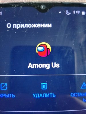 играем Among Us