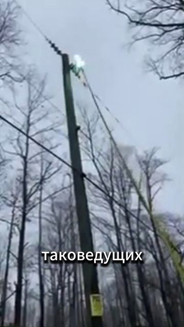 Электрическая дуга на ЛЭП: что пошло не так?