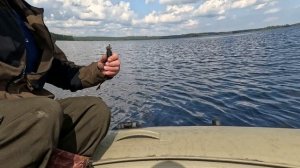 Когда не помнишь, но ещё и забыл... Рыбалка в Карелии