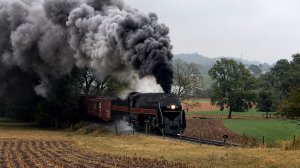 Паровозы