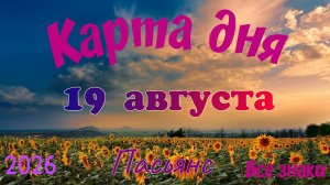 Карта дня🍉19 августа 🐞☘️Пасьянс. Тайм-код в описании 🦢