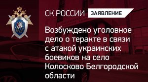 Возбуждено уголовное дело о теракте в связи с атакой ВФУ на село Колосково Белгородской области