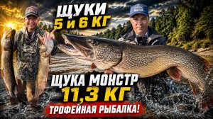ЩУКА 11,3 КГ!!! ТРОФЕЙ ЗА ТРОФЕЕМ! РУКИ ДРОЖАТ И СПИННИНГИ В ДУГУ! ТРОФЕЙНАЯ РЫБАЛКА НА ЩУКУ!