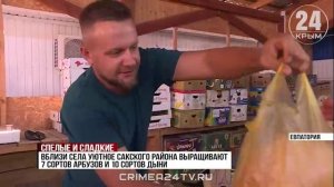 Сахарные и сочные: откуда везут арбузы и дыни на прилавки Евпатории?