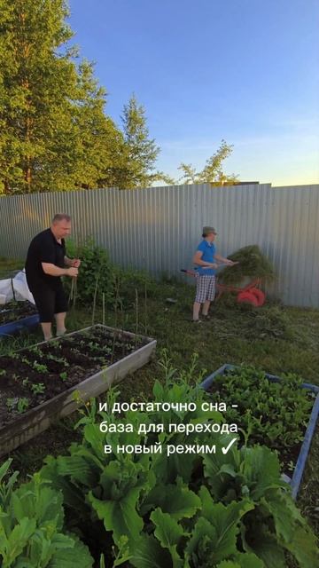 Кстати, кто-то нашёл книжку Н. Н. Носова “Опять двойка?» Я нет

проверь: зубы сжаты? #отношения #стр