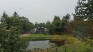 Песня«У природы нет плохой погоды»🤩.Обзор из окна второго этажа.