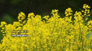 Ради чего? Точка невозврата.