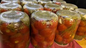 КВАШЕНЫЕ ПОМИДОРЫ КАК БОЧКОВЫЕ! БЕЗ Уксуса и Стерилизации! Помидоры на зиму хранятся в квартире!