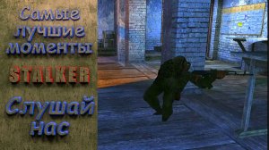 Слушай нас. Stalker. Самые лучшие моменты. #stalker