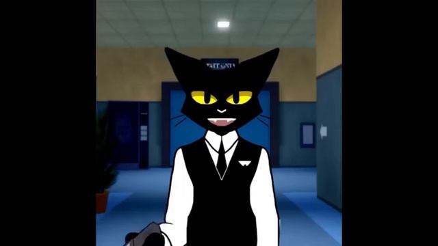 е прикольные видео.