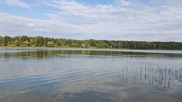 Красивые места - Истринское водохранилище