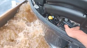 Арт 4542 Запуск лодочного мотора Yamaha F175, 2015 г.