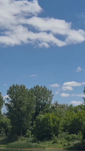 Меня счастливей в мире нет