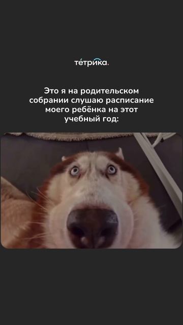 на родительском собрании...