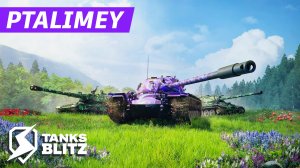 Рейтинг - мой кот даёт советы лучше, чем союзники🔴Tanks Blitz🔴