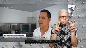 17.8.2026 новости глухих