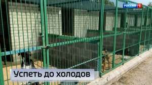 В приюте «Пиф» началась реконструкция вольеров