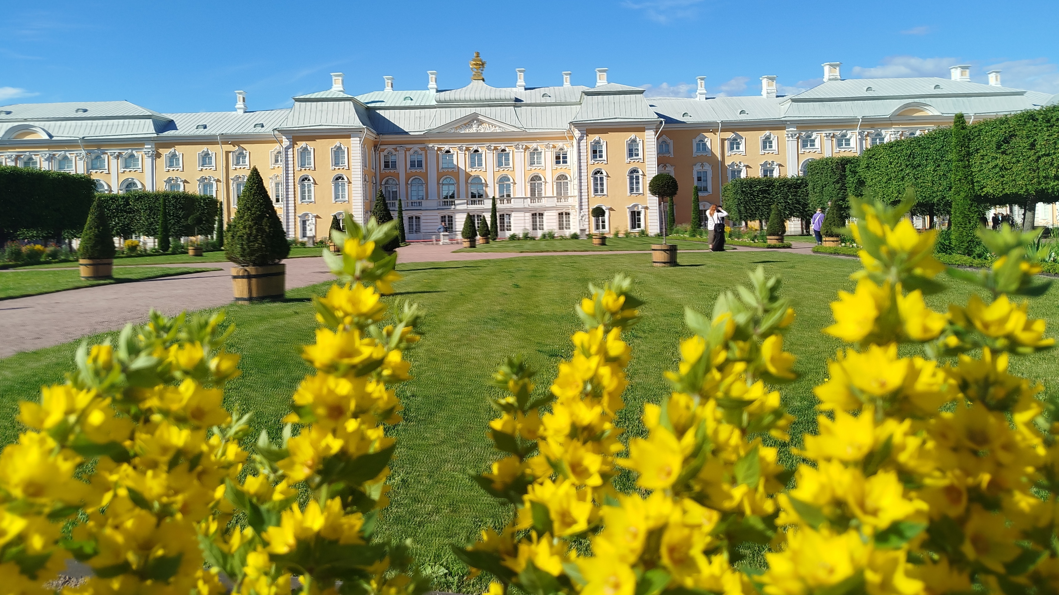 Верхний парк 🏞️ и....до новых встреч, Петергоф 😍