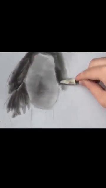 Рисунок Эффи Стонем углём