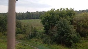 Поехали в г.Барнаул в зоопарк🤩🙃🥳