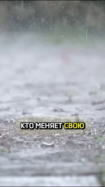 Сомнение — не повод стоять на месте