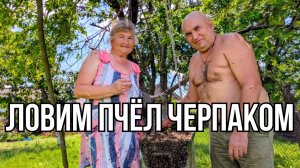 ЛОВИМ РОЙ ПЧЕЛ ЧЕРПАКОМ! Снимаем с высоты БЕЗ защитных костюмов