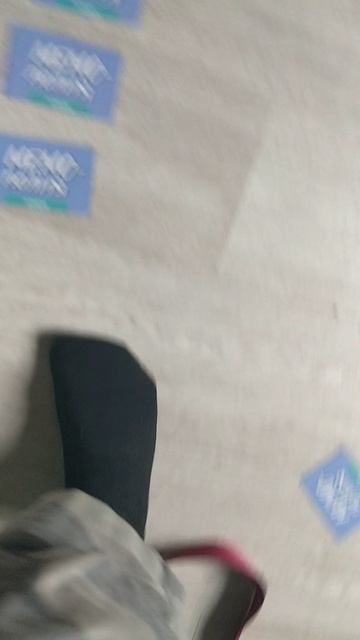 момо полия