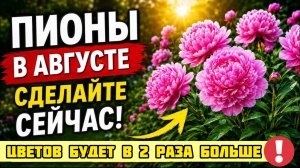 ШПИОНЫ В АВГУСТЕ: 7 важных дел, которые решают всё