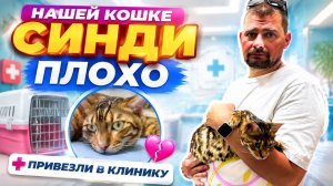 ВЛОГ ! Глистогоним своих животных ! Алисия снова перекрасилась  !