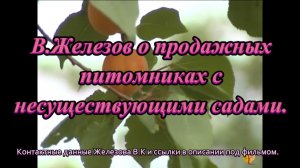 В.Железов о продажных питомниках с несуществующими садами.