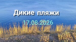Анапа 17.08.2026 Дикие пляжи