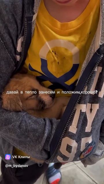 дети принесли домой щенка -  он плакал в воде лежал  дети  животные  жалость  доброта