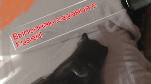 Выполняю задания с Кузей!