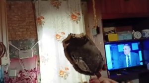 Мороженое