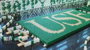 6 000 домино для USF!