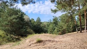 Справедливость в работе по найму в организации. И немного о деньгах в долг