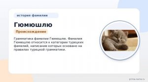 Фамилия Гюмюшлю: происхождение, значение и склонение