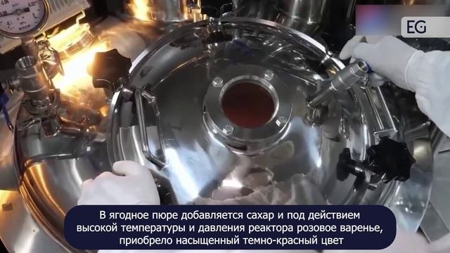 Линия для производства джема HZ-600