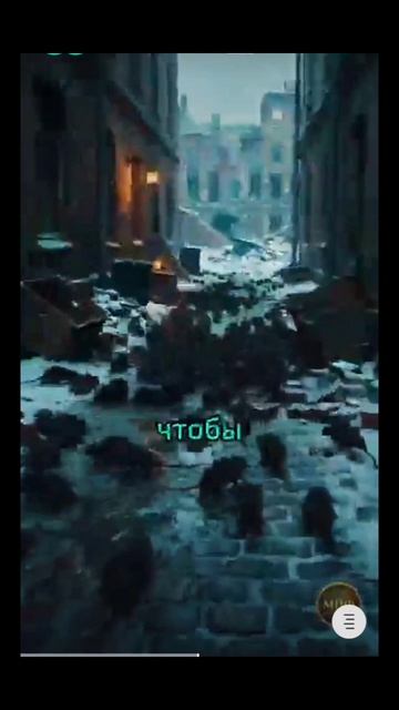 😺 Кошки спасли Ленинград!