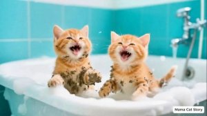 🌟Детские Мультики , Мама кошка история , самое интересные и веселые детские мультики ❤️
