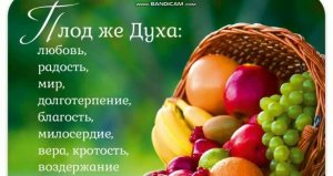 23 🔥 ЧТО ТАКОЕ ПЛОТЬ, ТЕЛО, ДУША, ДУХ ! ДАРАМИ ДУХА ИЗГОНЯЕТСЯ САТАНА, А ПЛОДАМИ РАСПИНАЕТСЯ ПЛОТЬ!