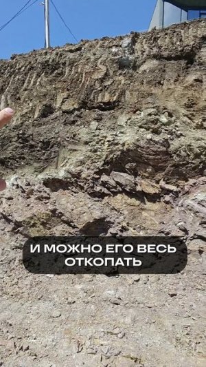 ОСОБЕННОСТИ стройки на участке со склоном! #проектдома #строительство #стройка