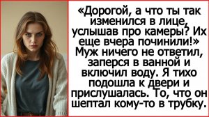 Дорогой, а что ты так изменился в лице, услышав про камеры? Их еще вчера починили.